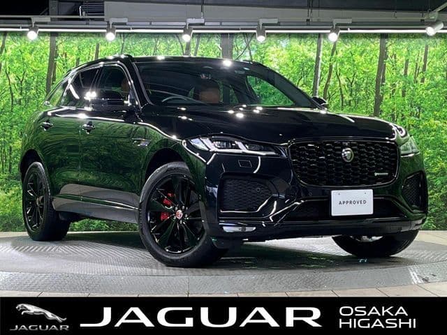 JAGUAR