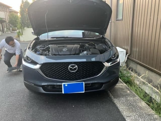 MAZDA