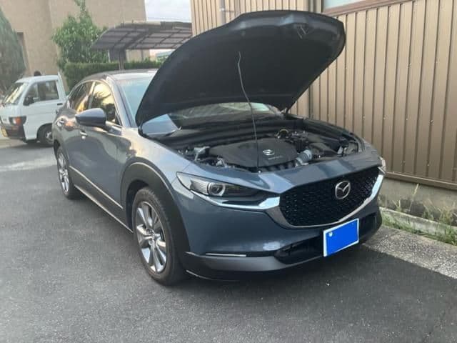 Car thumbnail 3