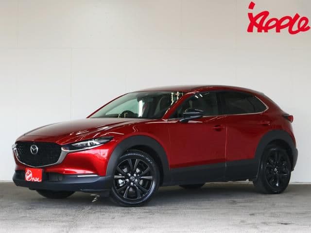 Car image 1