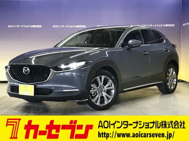 Car image 1
