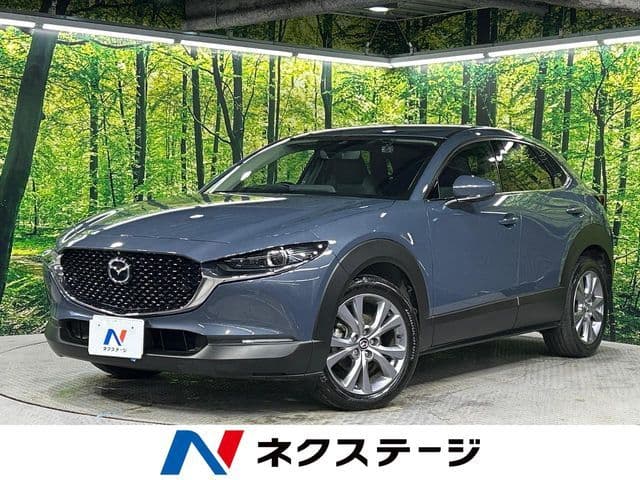 Car image 1