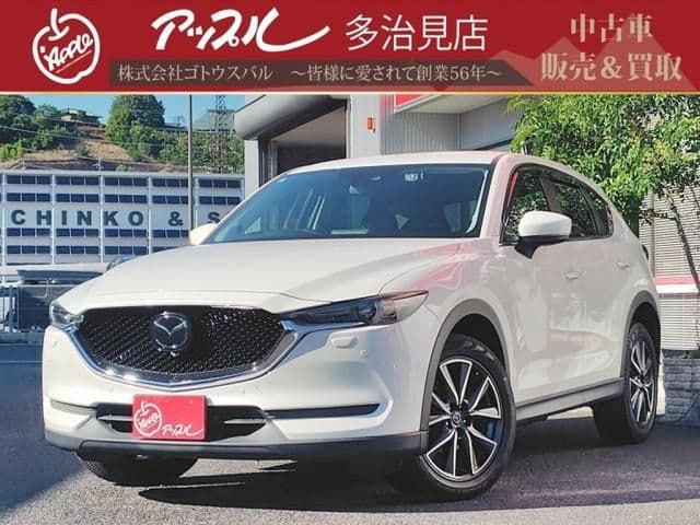 Car image 1