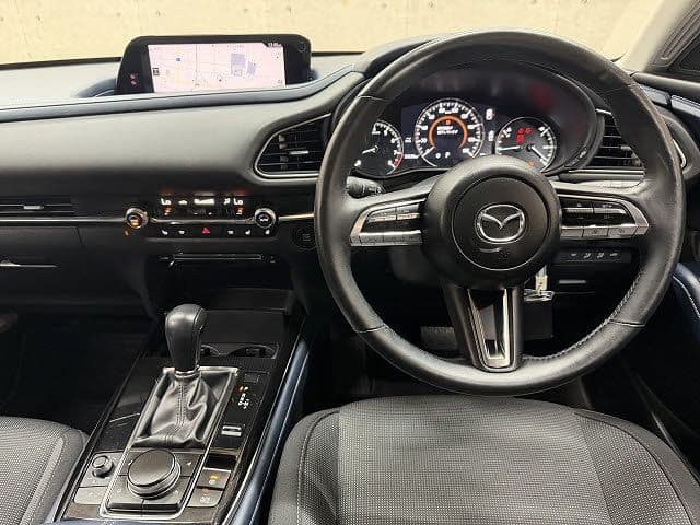 Car thumbnail 2
