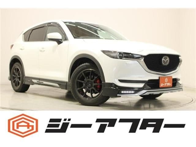 Car image 1